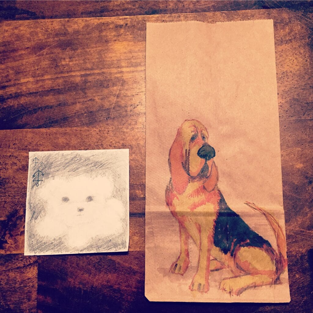 Instagram – Dogs