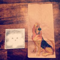 Instagram – Dogs
