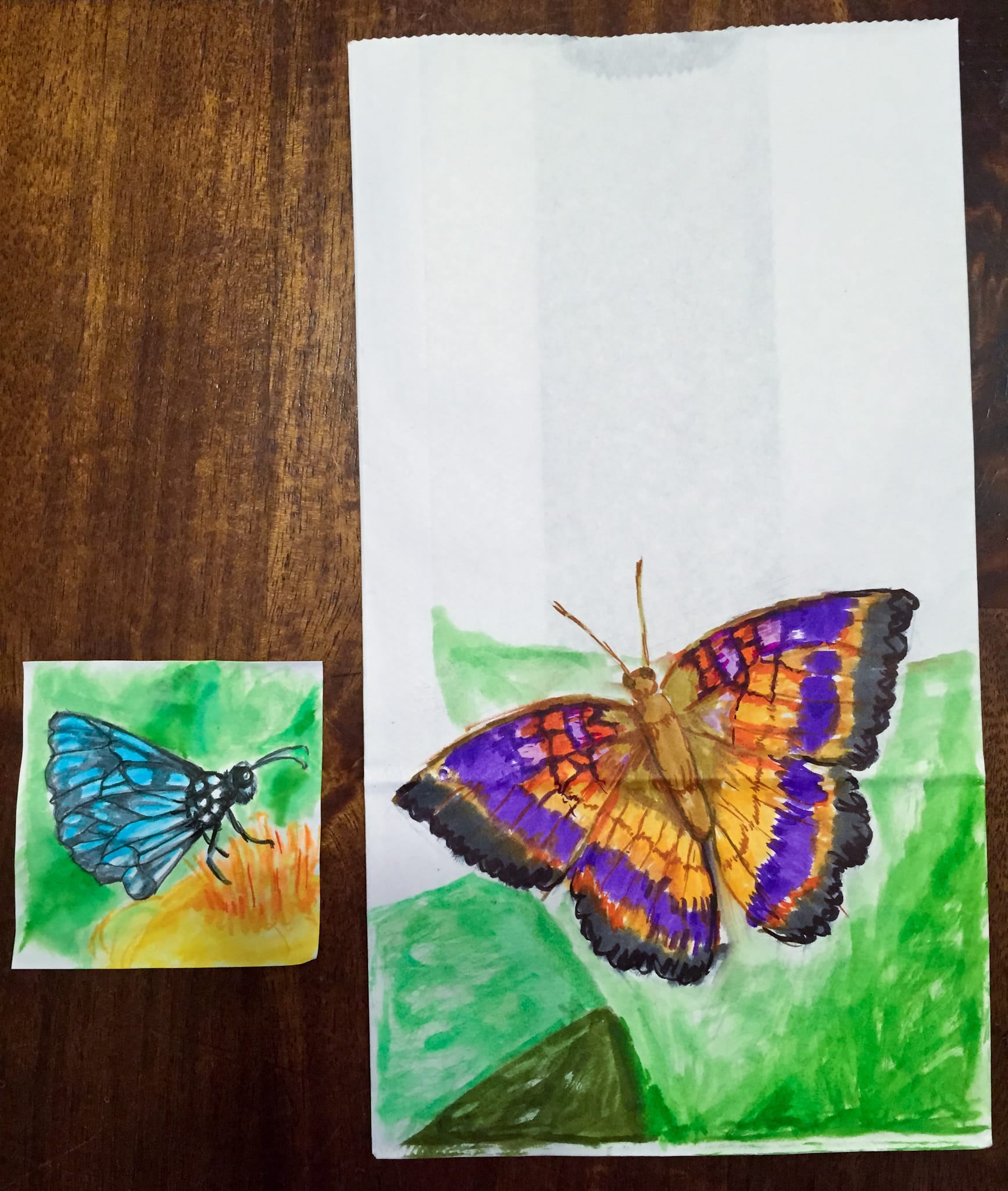 Instagram – Butterflies