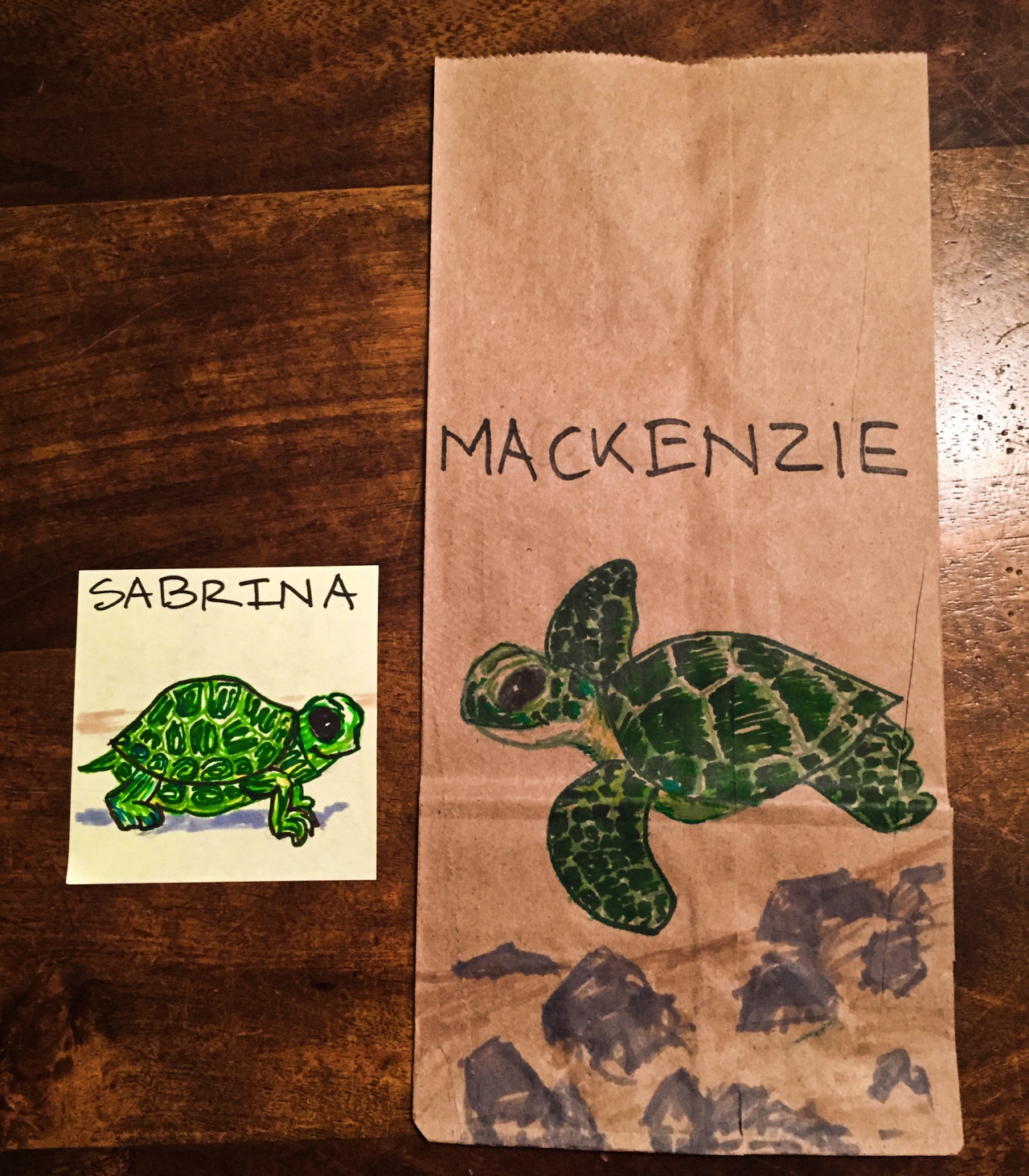 Instagram – Turtles