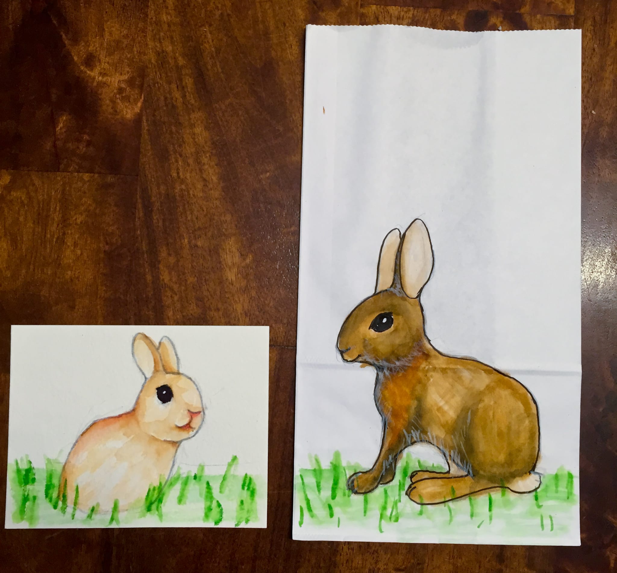 Instagram – Bunnies