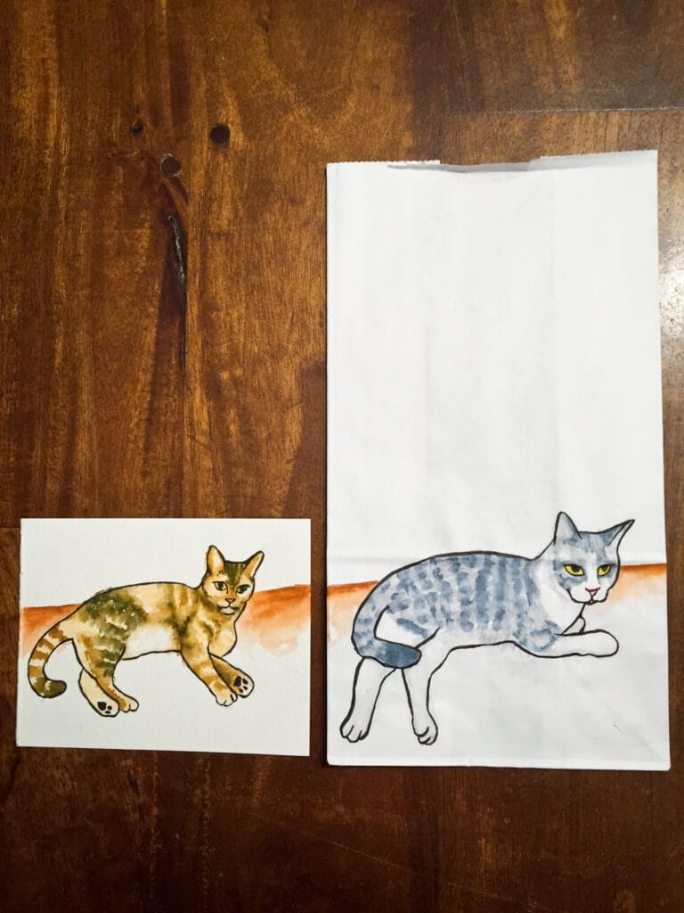 Instagram – Cats