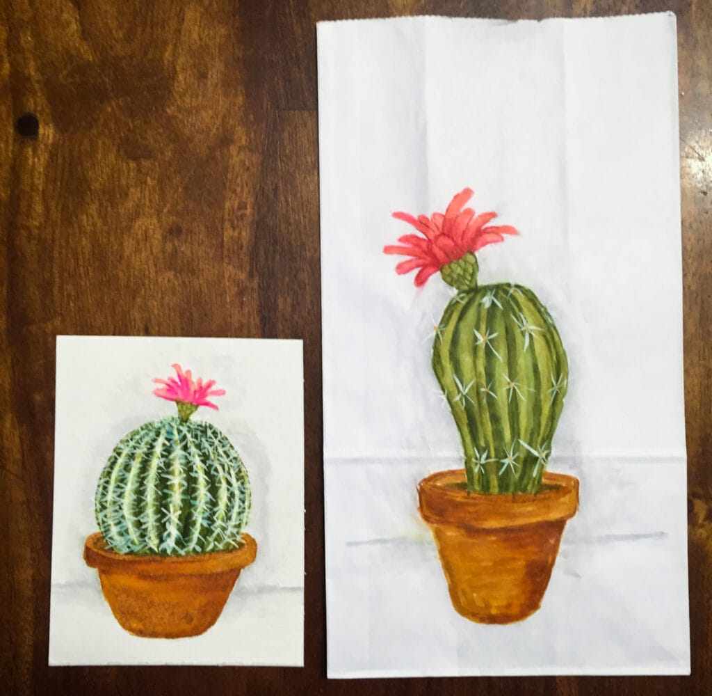 Instagram – Cactus