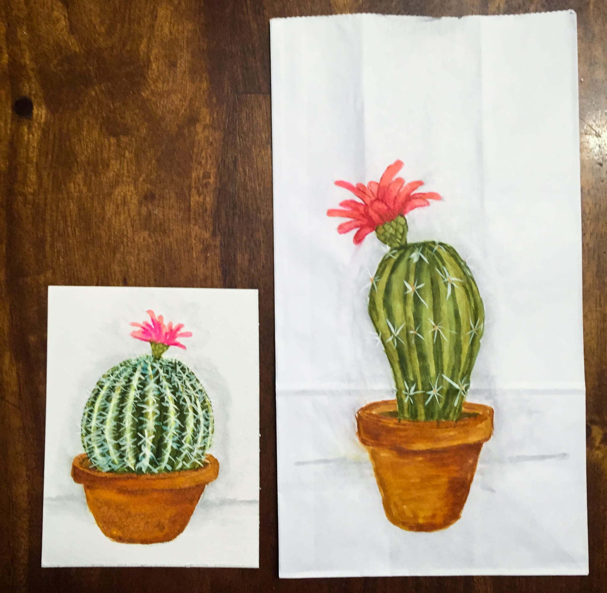 Instagram – Cactus